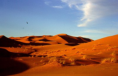Erg Chebbi