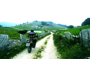 Schotterweg in den Monte Lessini