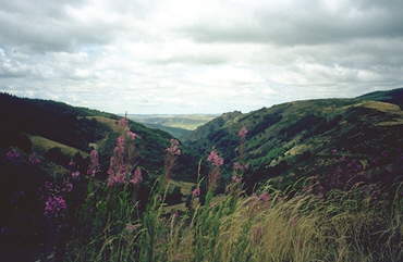 Landschaft am Mont Aigoual