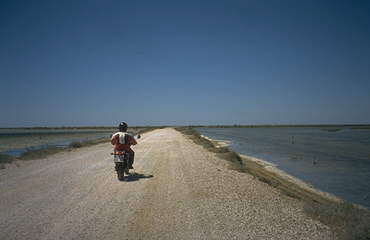 Camargue