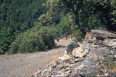 Geologie der Cevennen: Schiefergestein