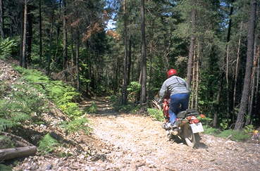 Fortsweg in den Cevennen