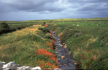 Landschaft auf Dingle