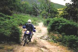 Endurowege auf Korsika
