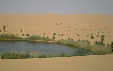 Mandara-Seen (Umm el ma)