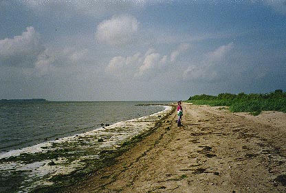Strand am Kubitzer Bodden