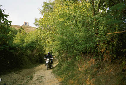 Hohlweg bei Turnu Ruieni