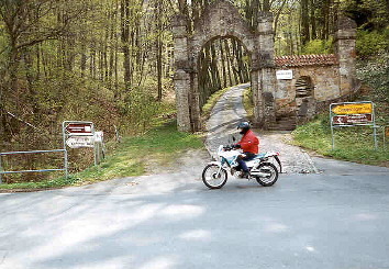 Im Kaufunger Wald
